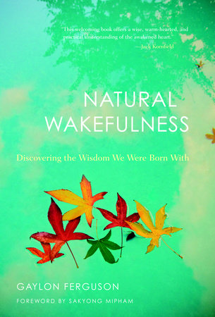 Natural Wakefulness by Gaylon Ferguson