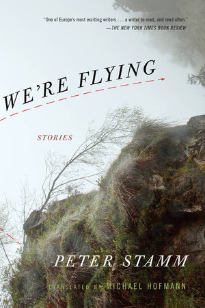 We're Flying by Peter Stamm