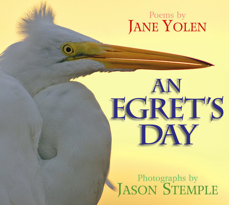 An Egret's Day by Jane Yolen