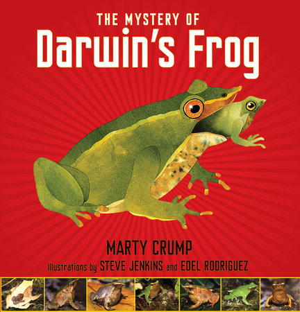 The Mystery of Darwin's Frog by Marty Crump