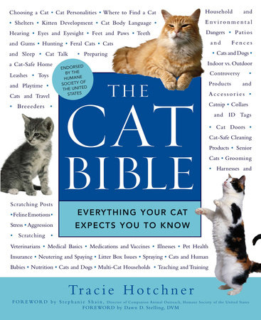 The Cat Bible by Tracie Hotchner