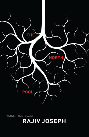 The North Pool by Rajiv Joseph