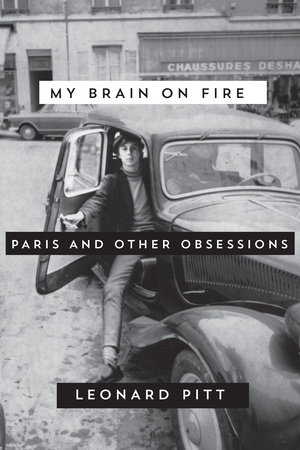 My Brain on Fire by Leonard Pitt