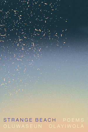 Strange Beach by Oluwaseun Olayiwola