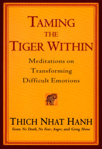 Anger by Thich Nhat Hanh: 9781573229371