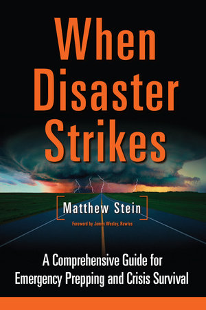 When Disaster Strikes by Matthew Stein