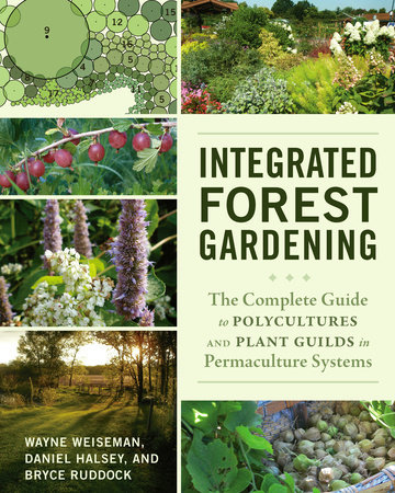 Integrated Forest Gardening by Wayne Weiseman, Daniel Halsey and Bryce Ruddock