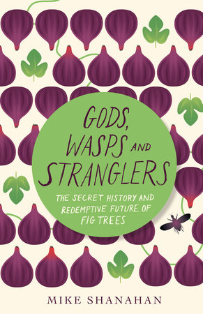 Gods, Wasps and Stranglers by Mike Shanahan