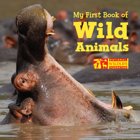 My First Book of Wild Animals (National Wildlife Federation) by National Wildlife Federation