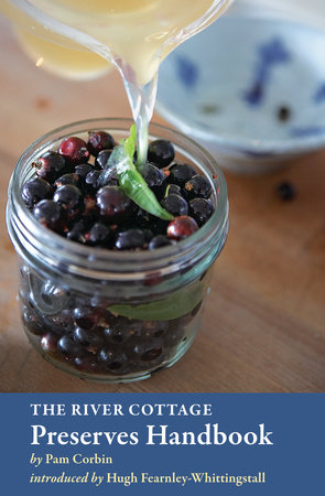 The River Cottage Preserves Handbook by Pam Corbin