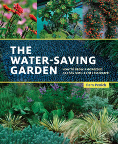 The Water-Saving Garden
