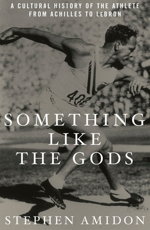 Something Like the Gods by Stephen Amidon