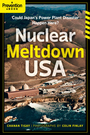 Nuclear Meltdown, USA by Chanan Tigay