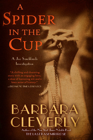 A Spider in the Cup by Barbara Cleverly