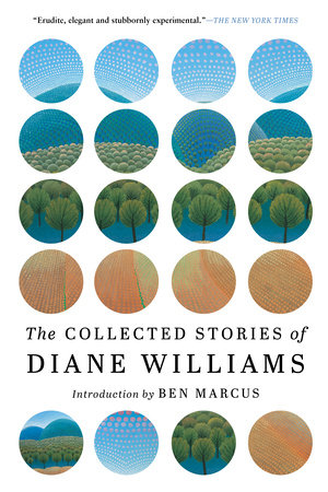 The Collected Stories of Diane Williams by Diane Williams