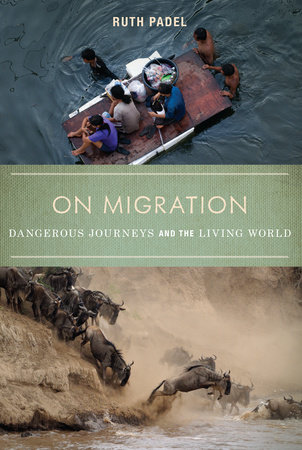 On Migration by Ruth Padel