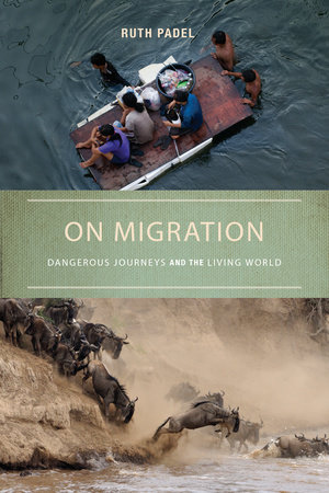 On Migration by Ruth Padel