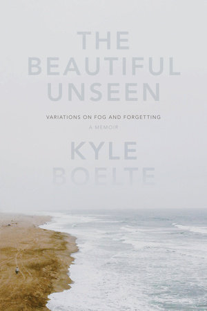 The Beautiful Unseen by Kyle Boelte