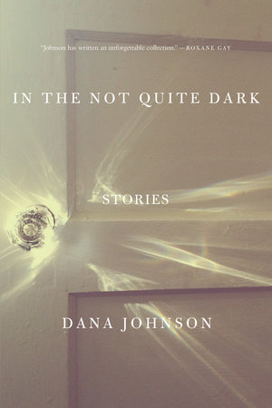 In the Not Quite Dark by Dana Johnson
