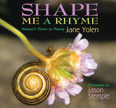 Shape Me a Rhyme by Jane Yolen