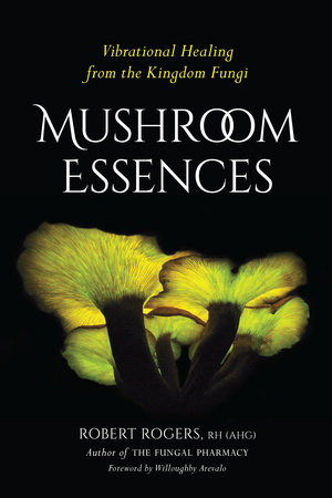 Mushroom Essences by Robert Rogers