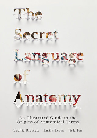 The Secret Language of Anatomy by Cecilia Brassett, Emily Evans and Isla Fay