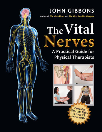 The Vital Nerves by John Gibbons
