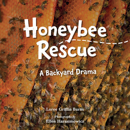 Honeybee Rescue by Loree Griffin Burns
