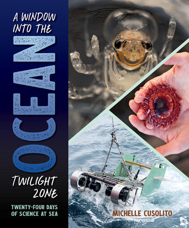 A Window into the Ocean Twilight Zone by Michelle Cusolito