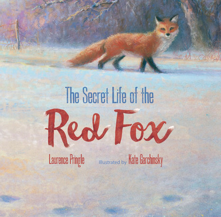 The Secret Life of the Red Fox by Laurence Pringle