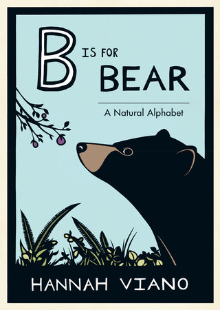B Is for Bear by Hannah Viano