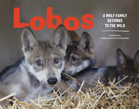 Lobos by Brenda Peterson