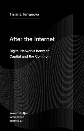 After the Internet by Tiziana Terranova