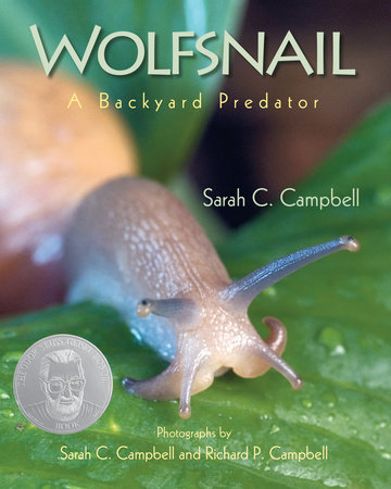Wolfsnail by Sarah C. Campbell