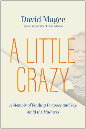A Little Crazy by David Magee