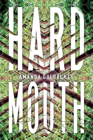 Hard Mouth by Amanda Goldblatt