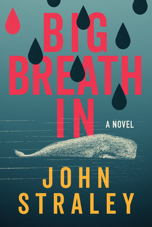 Big Breath In by John Straley