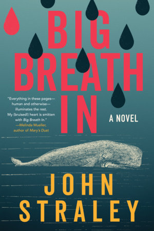 Big Breath In by John Straley