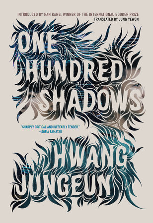 One Hundred Shadows by Hwang Jungeun