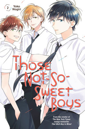 Those Not-So-Sweet Boys 2 by Yoko Nogiri