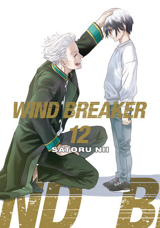 WIND BREAKER 12 by Satoru Nii