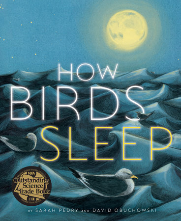 How Birds Sleep by David Obuchowski and Sarah Pedry