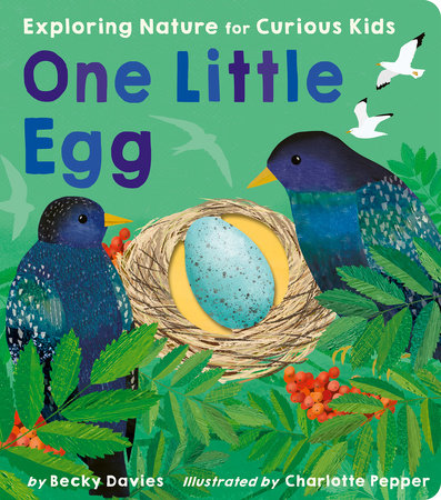One Little Egg by Becky Davies