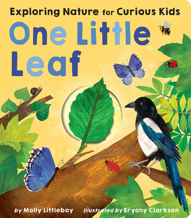 One Little Leaf by Molly Littleboy