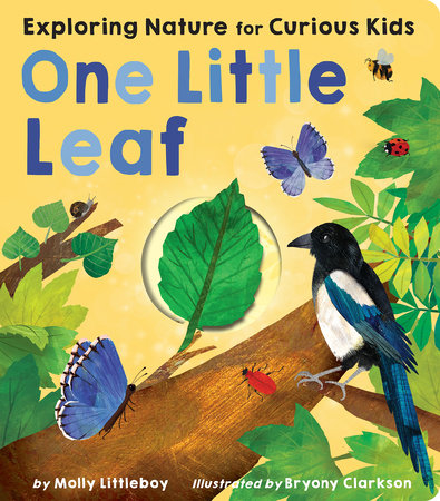 One Little Leaf by Molly Littleboy; illustrated by Bryony Clarkson