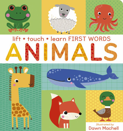 Lift Touch and Learn First Words: Animals by Villetta Craven