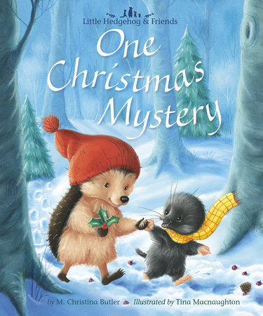 One Christmas Mystery by M. Christina Butler; illustrated by Tina Macnaughton