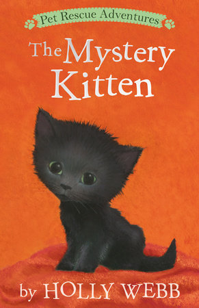 The Mystery Kitten