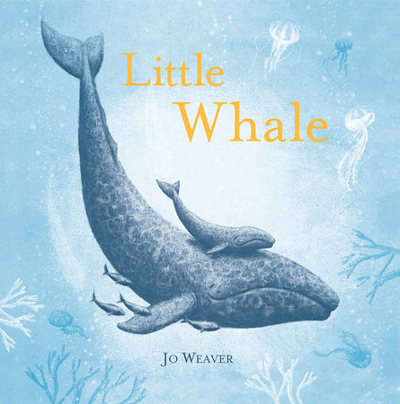 Little Whale by Jo Weaver