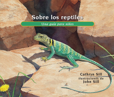 Sobre los reptiles by Cathryn Sill